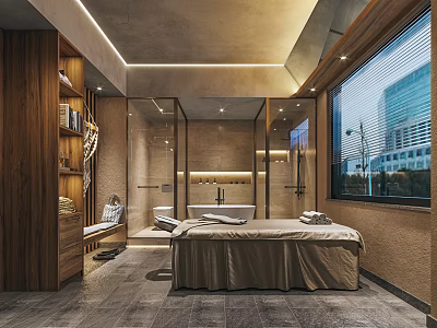 Modern SPA Sauna Room With Massage Bed Wooden Decor Bathtub And Window View 3d model