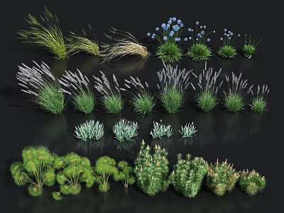 Various Green Grasses Purple Lavender and Blue Blooms Arranged on Black Background 3d model