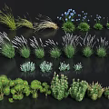 Various Green Grasses Purple Lavender and Blue Blooms Arranged on Black Background