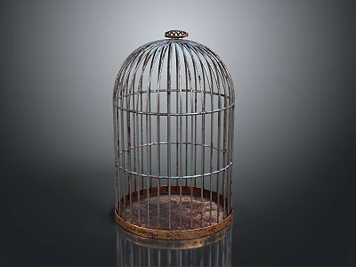 Rustic Metal Birdcage for Pet Bird Featuring Vintage Design and Hanging Top Ring 3d model