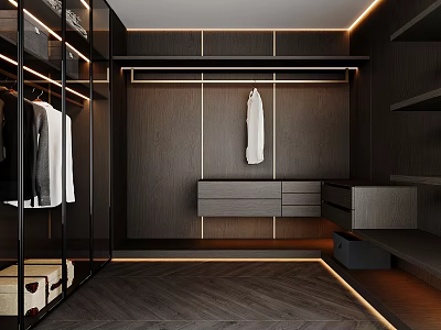 Modern Dark Toned Walk In Closet With Built In Storage And Lighting 3d model