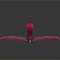 Red Mythical Bird with Spread Wings and Crown on Head Against Gray Background with Reflection