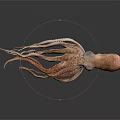 Orange Octopus With Detailed Tentacles And Shiny Reflection On Dark Background 3d model