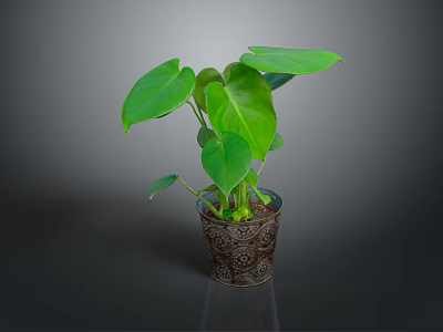 Thriving Green Leafy Plant With Large Leaves In Decorative Patterned Pot For Indoor Decor 3d model