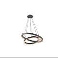 Modern Double Ring Pendant Light with Metal Frame and Illuminated Circular Design