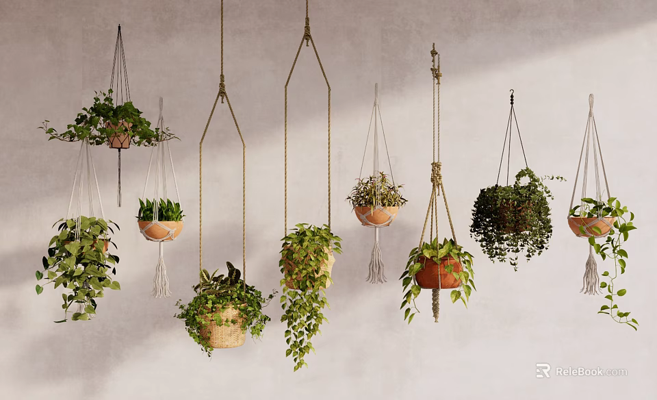 Hanging Plants in Terracotta and Woven Planters with Green Foliage Against Textured Wall 3d model 