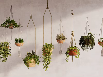 Hanging Plants in Terracotta and Woven Planters with Green Foliage Against Textured Wall 3d model