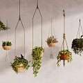Hanging Plants in Terracotta and Woven Planters with Green Foliage Against Textured Wall