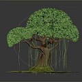 Detailed 3D Model Tree Featuring Brown Trunk Green Canopy and Yellow Aerial Roots