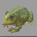Vibrant Iridescent Frog With Shiny Yellow Green Spots On Dark Background