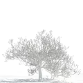 Frost Covered Arbor Branches Against Clear Blue Sky With White Clouds