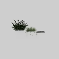 Decorative Ornament Set with Green Plants in White Planters for Modern Interior Decor