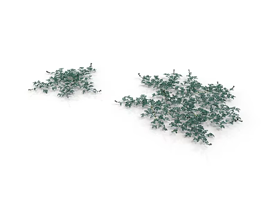 Two Lush Green Decorative Plants With Dense Foliage And Vibrant Fresh Leaves 3d model