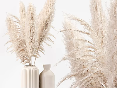 Minimalist Ceramic Vases with Pampas Grass in Neutral Tones for Modern Decor 3d model