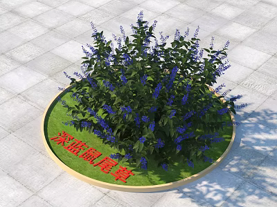 Round Deep Blue Sage Shrub With Blue Flowers On Square Paved Ground 3d model
