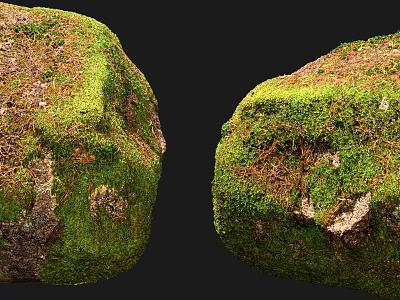 Natural Stones And Wooden Accents Covered With Lush Green Moss 3d model