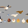 Collection Of Various Birds Including Ducks Chickens Geese And Poultry In Different Poses Colors