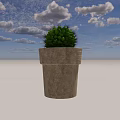 Green Cactus Potted Plant in Gray Concrete Pot with White Background
