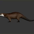 Detailed Realistic Brown Otter With White Chest Standing on Gray Background