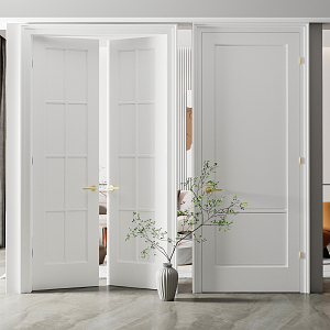 Modern double door indoor single and double door combination 3d model