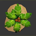 Green Leaf Palm Tree With Brown Trunk And Three Coconuts On Sand Base 3d model