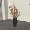 Black Woven Vase Holding Dried Wheat Ears in Interior with Light Wall and Green Plant