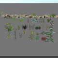 Diverse Collection Of Garden Ornamental Grasses And Herbaceous Plants For Landscaping And Garden Design