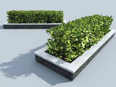 Lush Green Shrubs Growing In Rectangular Stone Planters For Garden Decor 3d model