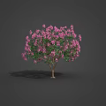 Various Types of Flowering Trees with Pink Blossoms and Green Foliage in Garden Landscaping Collection