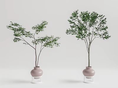 Modern potted plant potted landscape tree 3d model