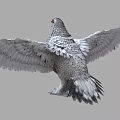 Realistic White Flying Animal With Red Eyes And Spread Wings