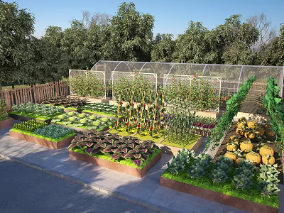 Garden Landscape With Raised Planting Beds Vegetables Greenhouse And Surrounding Trees 3d model