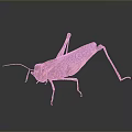 Grasshopper Featuring Brown And Red Body Long Legs On Dark Background With Surface Reflection 3d model