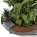 Modern Garden Decor With Tall Palm Plant Small Green Plants Curved Concrete Wooden Planter