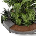 Modern gardening sketch palm branch leaf vegetation 3d model