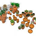 Assorted Ceramic Vessels In Different Sizes And Styles With Green Plants 3d model