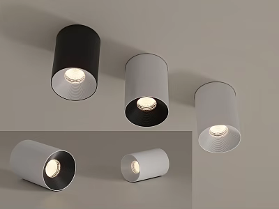 Black And White Modern Downlights And Spotlights For Home Interior Lighting 3d model