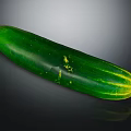 Whole Fresh Green Cucumber with Smooth Skin and Reflection Isolated on Dark Background