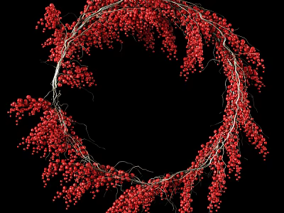 Circular Wreath Made of Red Berries and Branches on Black Background 3d model