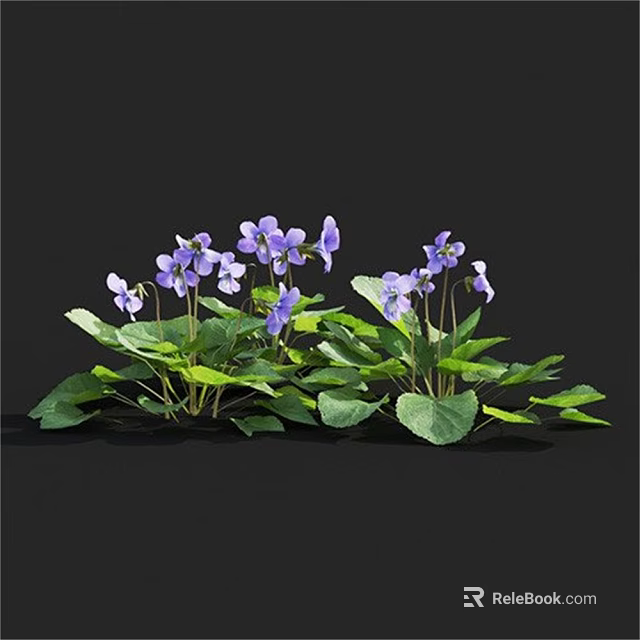 Purple Flowers and Green Leaves Blooming in Natural Garden Setting 3d model 