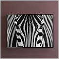 Animal Painting Zebra Head Close-up with Black and White Stripes Framed in Black Frame