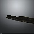 Dark Colored Wooden Stone Decorative Long Strip With Natural Texture And Gray Background