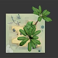Cartoon Tropical Island Scene With Palm Trees Hammock Sand Water Rocks And Seashells