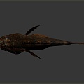 Modern fish grouper marine animals deep sea fish 3d model