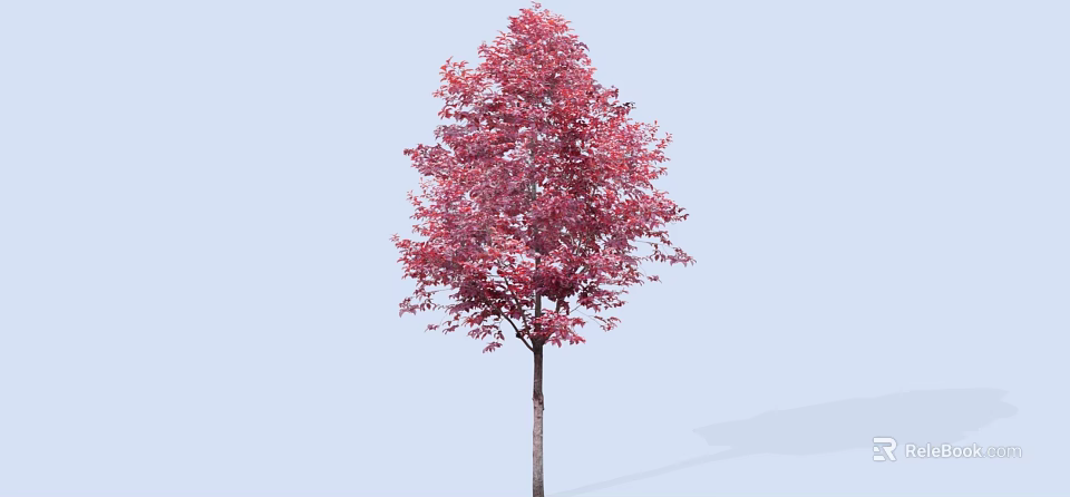 Pink Leaf Arbor with Brown Trunk Against Light Blue Background 3d model 