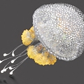 Spotted jellyfish 3d model