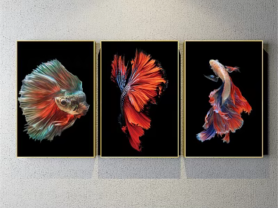 Three Betta Fish Animal Paintings With Black Background And Gold Frames 3d model