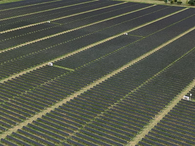 Aerial View Of Vast Ground Solar Panel Farm For Clean Sustainable Renewable Energy Production 3d model