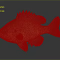 Golden yellow freshwater fish with spiny dorsal fin and detailed scales on gray background