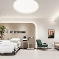 Modern Clean Hospital Outpatient Room With Medical Equipment Sofa Chair Plant Painting Ceiling Light 3d model